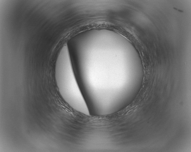 X0000071910823200607070943