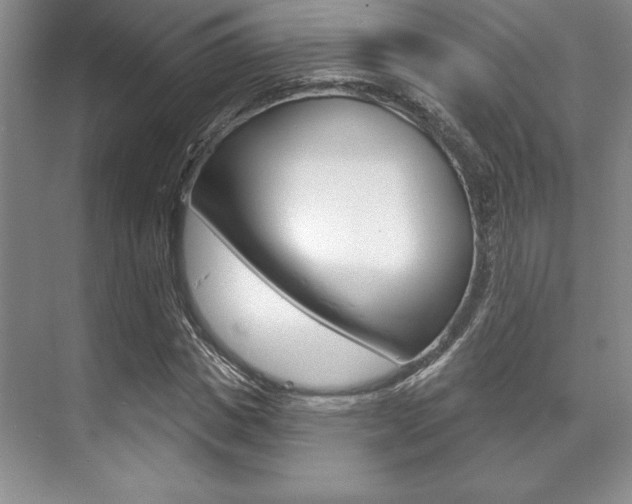 X0000071910825200607070943