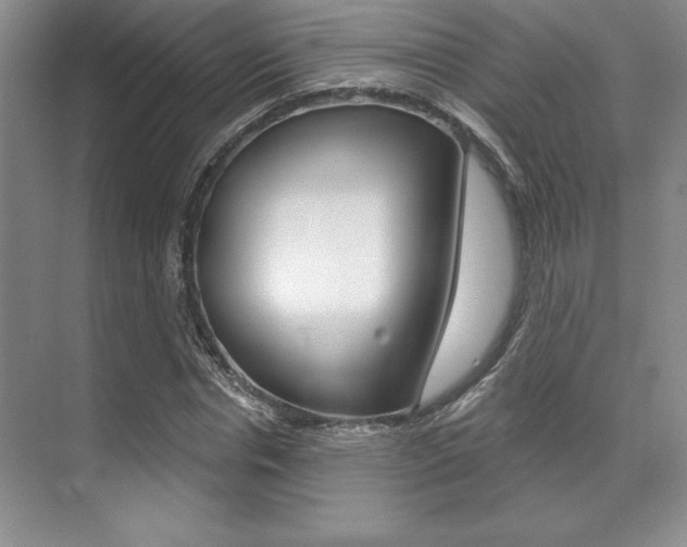 X0000071910826200607070943