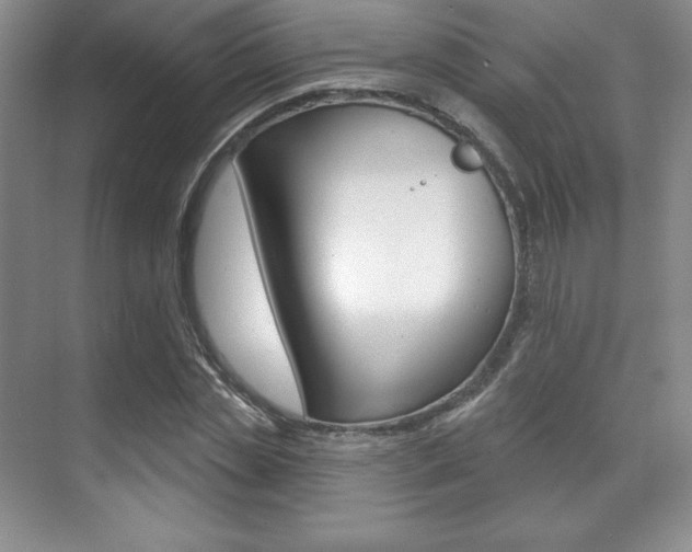 X0000071910829200607070943