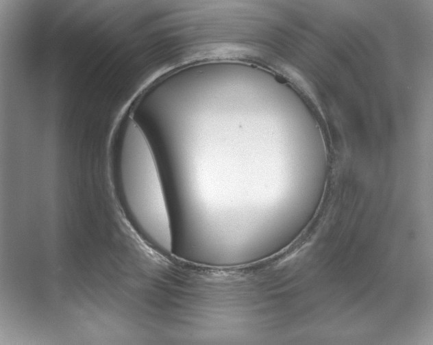 X0000071910835200607070943