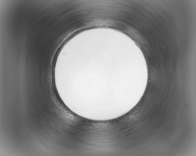 X0000071910836200607070943