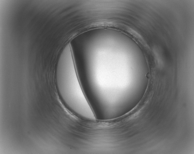 X0000071910841200607070943