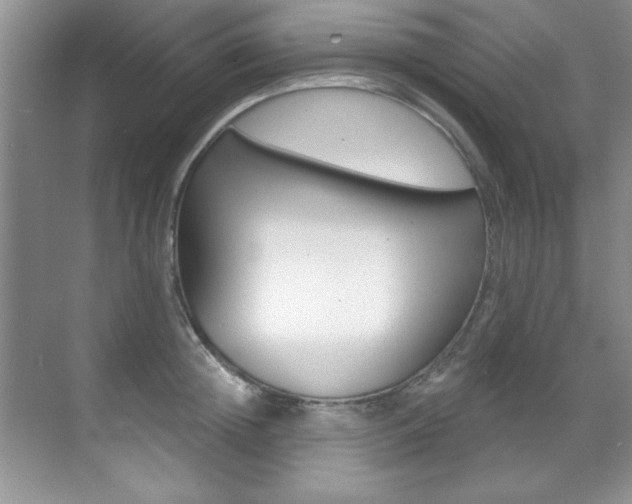 X0000071910852200607070943