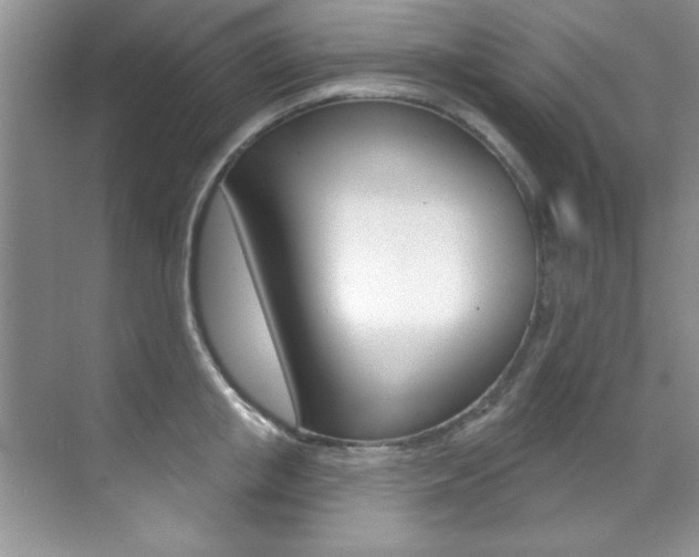 X0000071910853200607070943