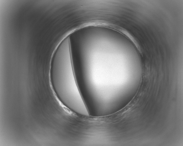 X0000071910861200607070943