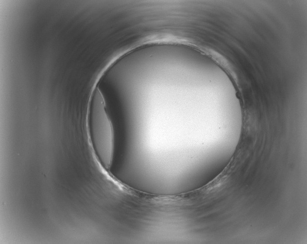 X0000071910863200607070943