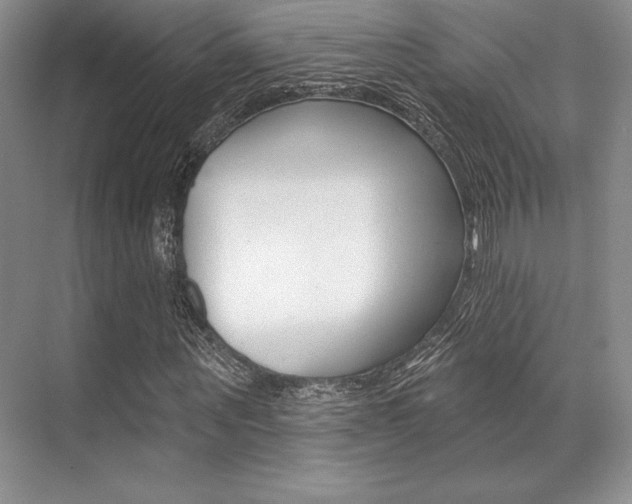 X0000071910867200607070942