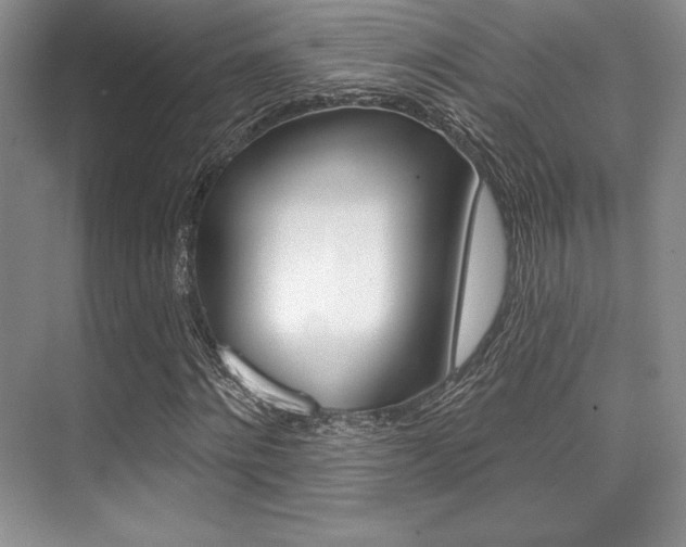 X0000071910868200607070942