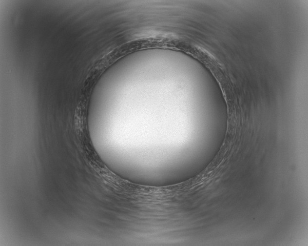 X0000071910869200607070942