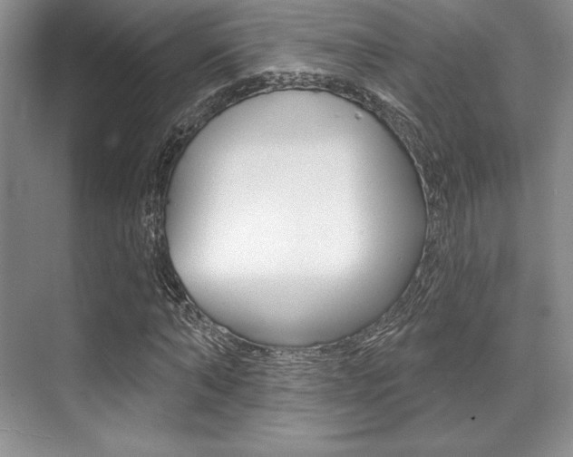 X0000071910870200607070942