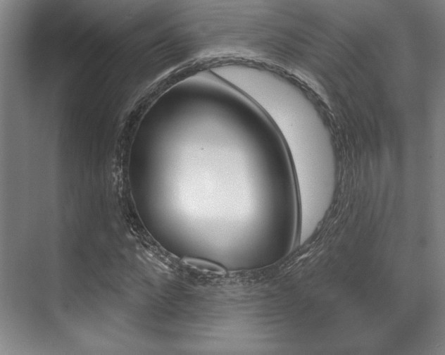 X0000071910872200607070942
