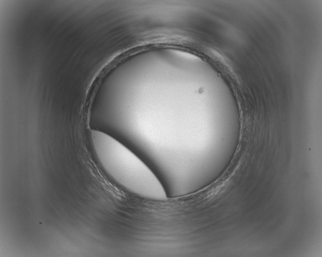 X0000071910875200607070942