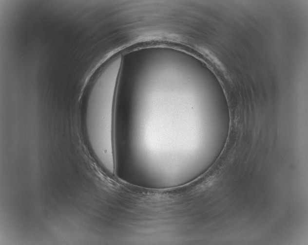 X0000071910877200607070942