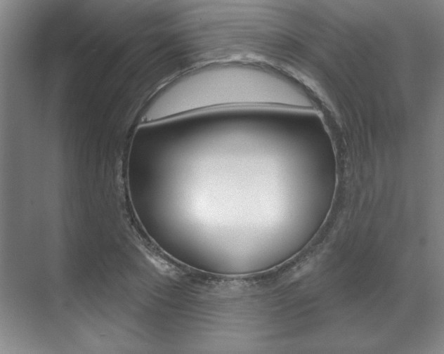 X0000071910881200607070942
