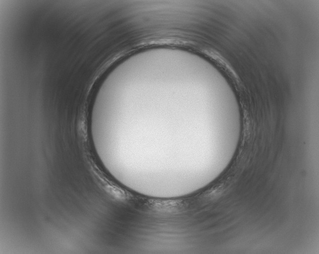 X0000071910882200607070942