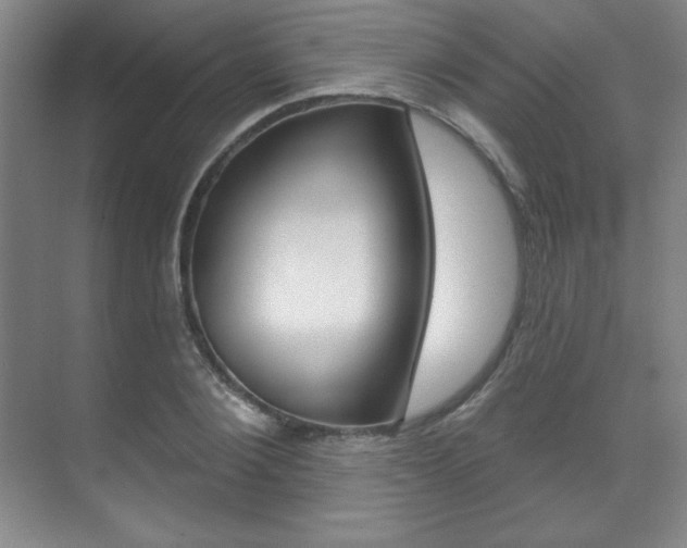 X0000071910884200607070942