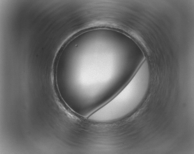 X0000071910888200607070942