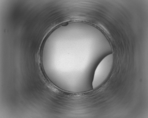 X0000071910891200607070942