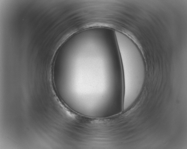 X0000071910898200607070942