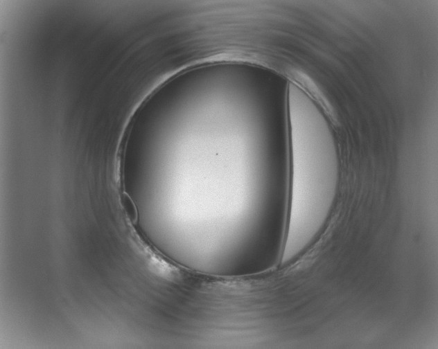 X0000071910900200607070942