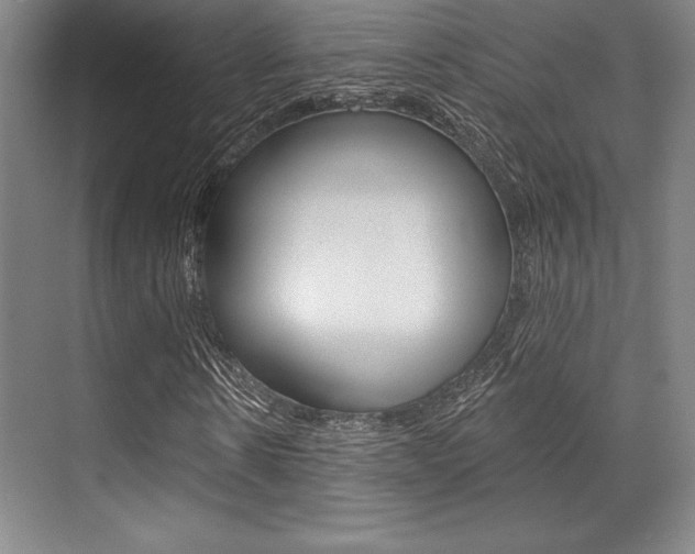 X0000071910914200607070941