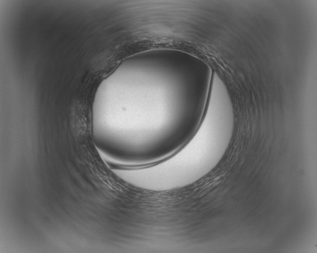 X0000071910916200607070941