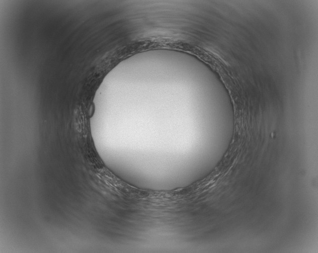 X0000071910917200607070941