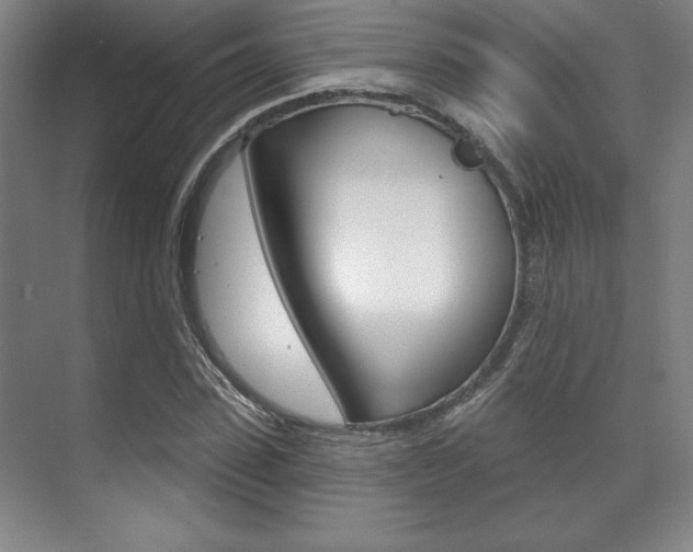 X0000071910923200607070941
