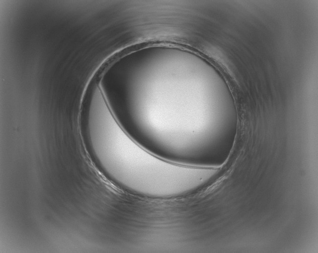 X0000071910924200607070941