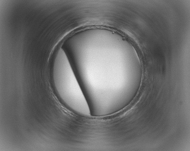X0000071910925200607070941