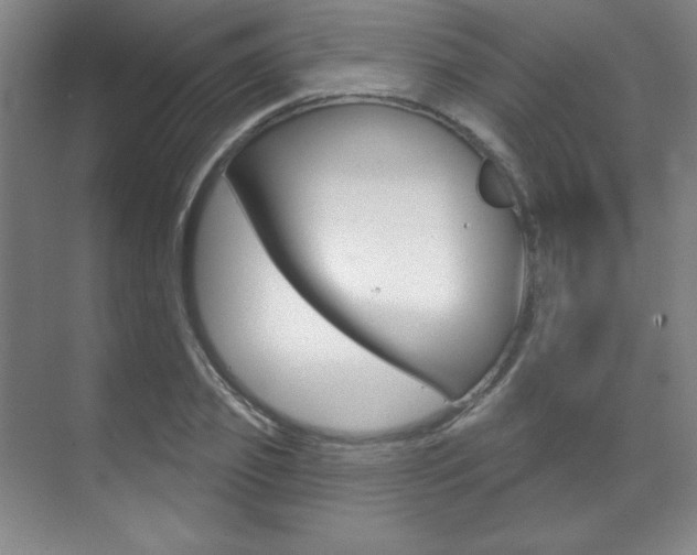 X0000071910933200607070941