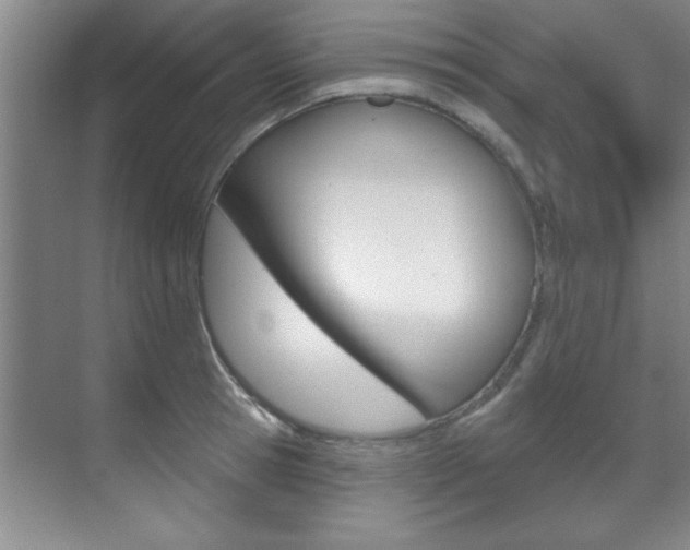 X0000071910945200607070941