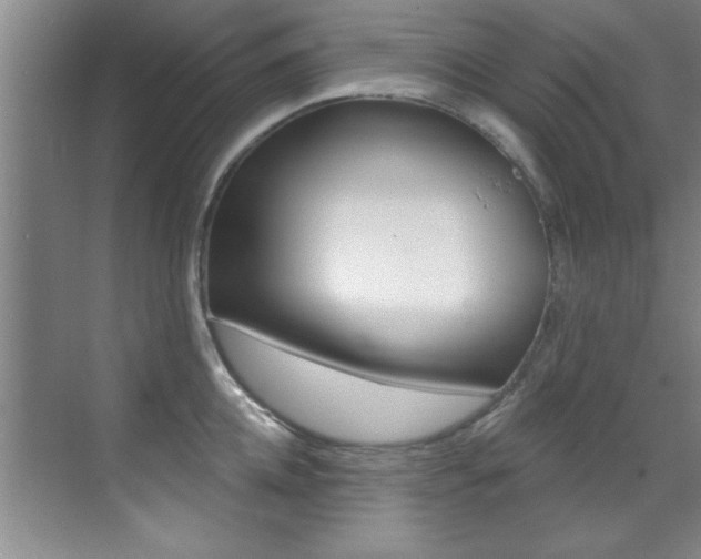 X0000071910952200607070942