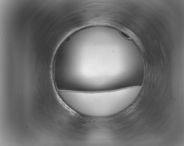 X0000071910958200607070942