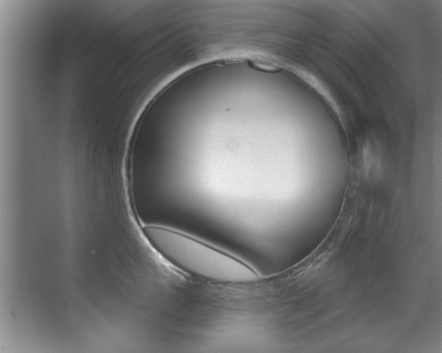 X0000071910959200607070942