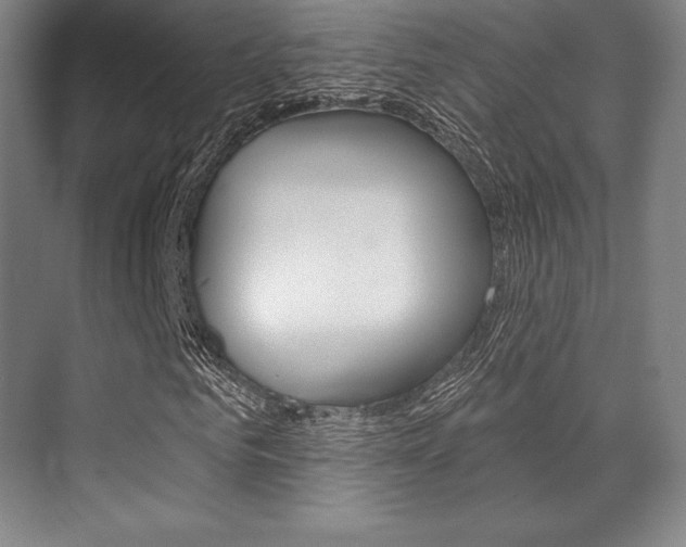 X0000071910961200607070941