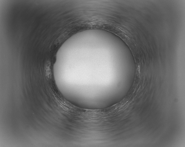 X0000071910963200607070941