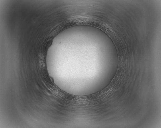 X0000071910964200607070941