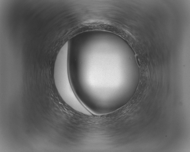 X0000071910965200607070941