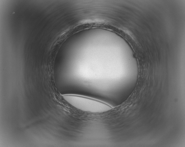 X0000071910967200607070941