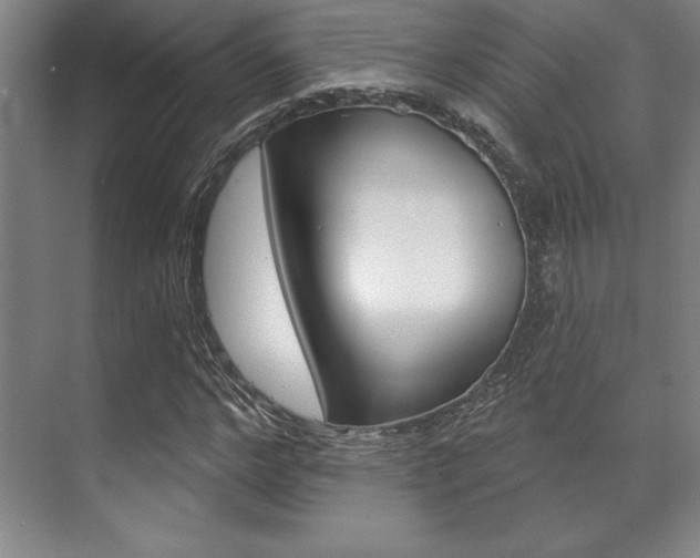 X0000071910968200607070941