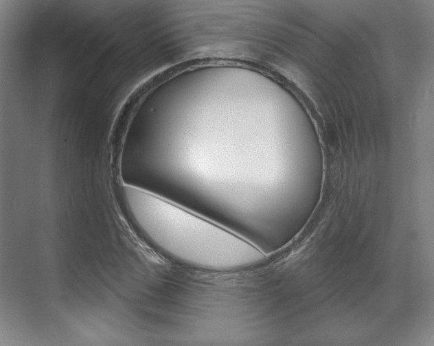 X0000071910971200607070941