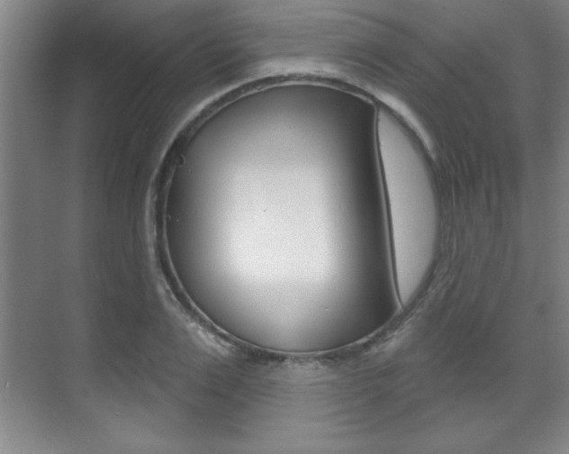 X0000071910983200607070941