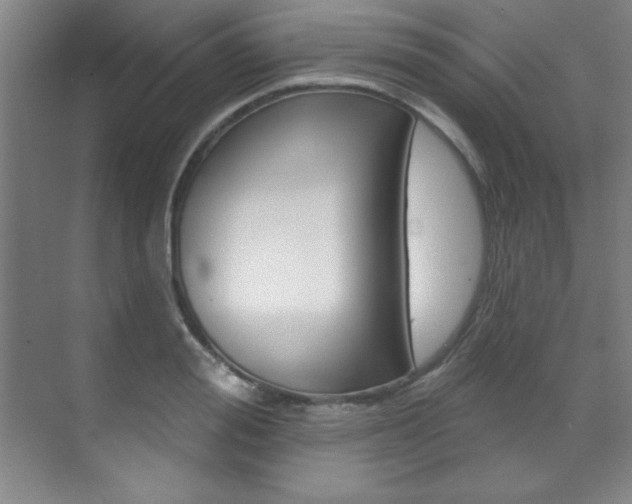 X0000071910988200607070940