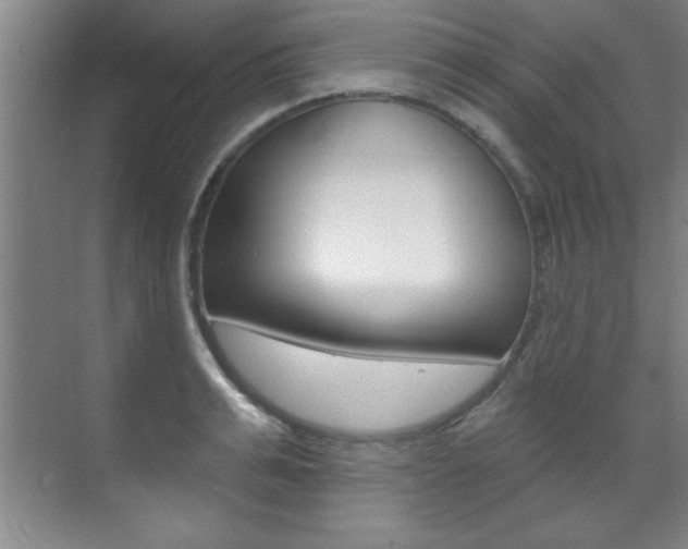 X0000071910991200607070940