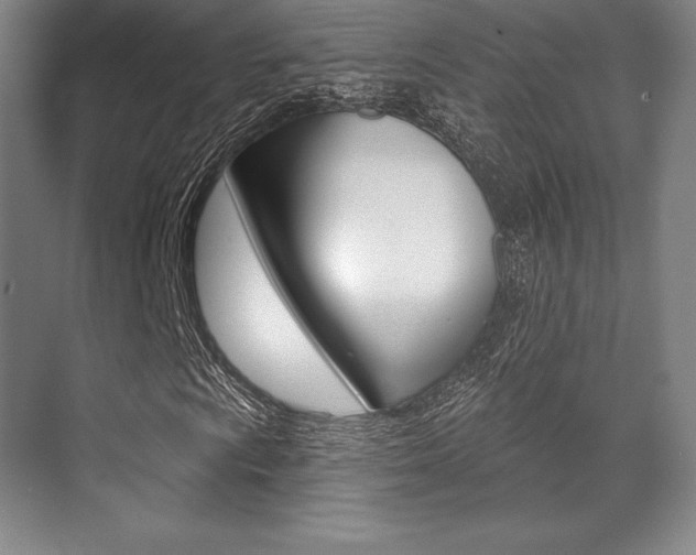 X0000071911009200607070939