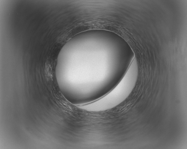 X0000071911010200607070939