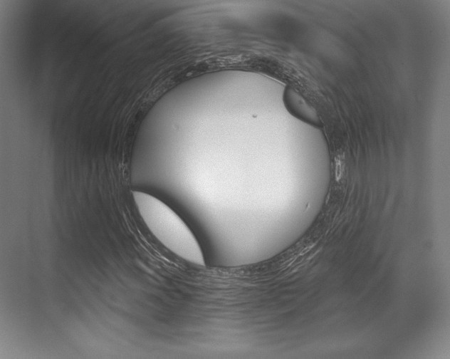 X0000071911011200607070939