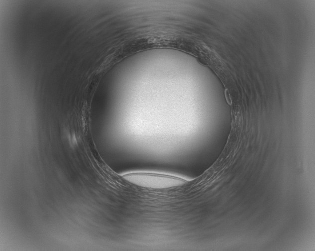 X0000071911012200607070939